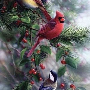 Meet your Posher, Janice